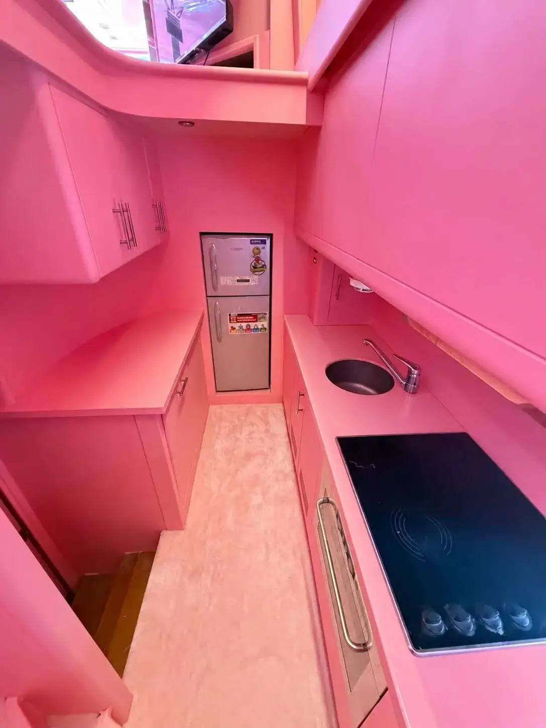Fully equipped pink galley with fridge and induction hob